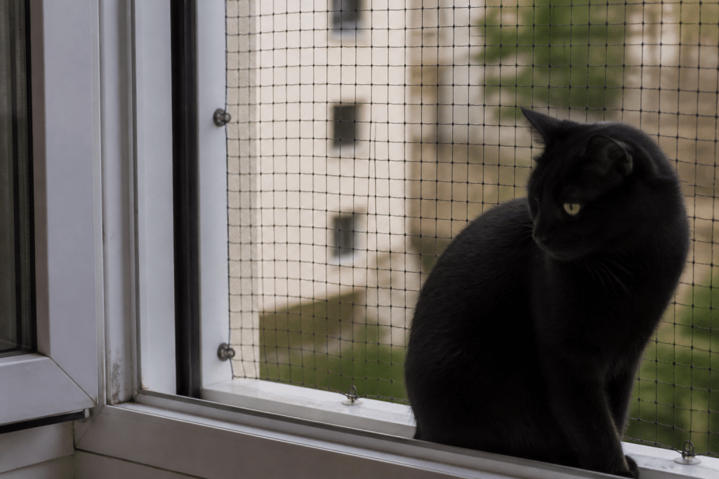 Filet protection chat noir mailles fines fixation fenetre