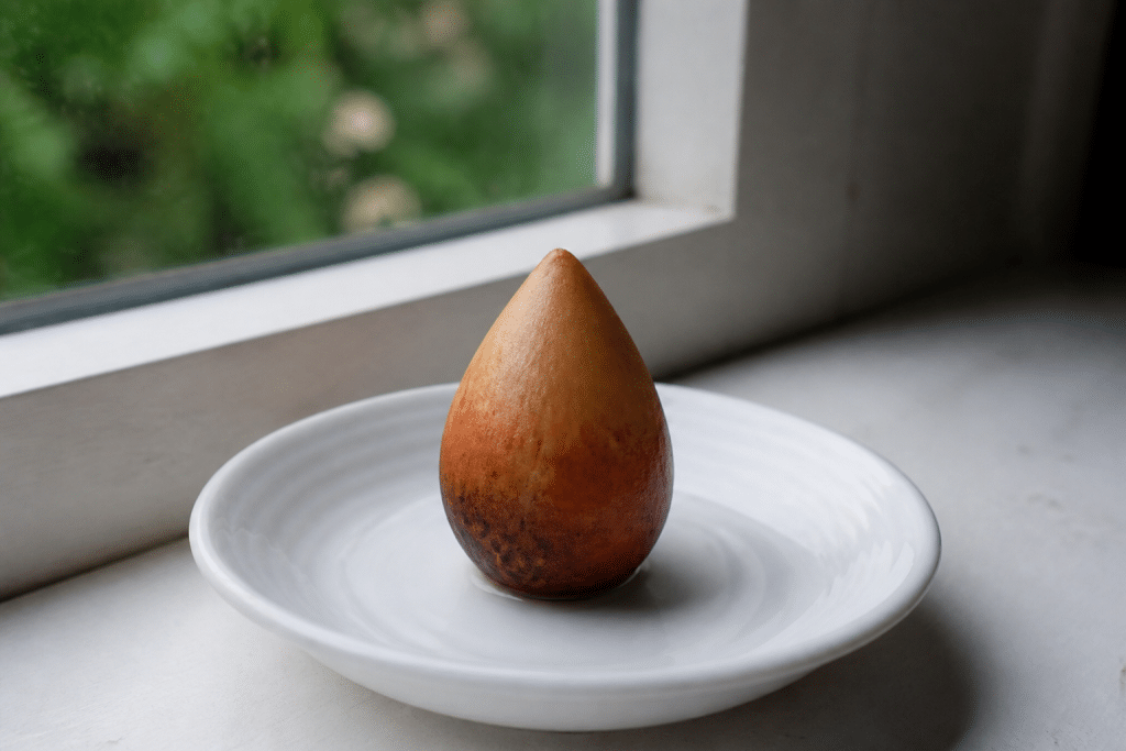 Noyau avocat rincé posé pointu vers haut